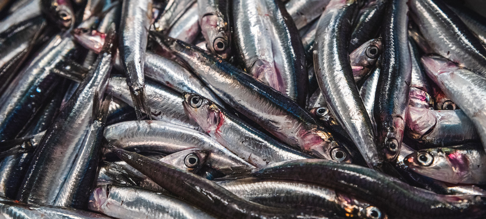 shooting fotografia strutture