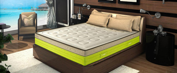 campain advertising salerno