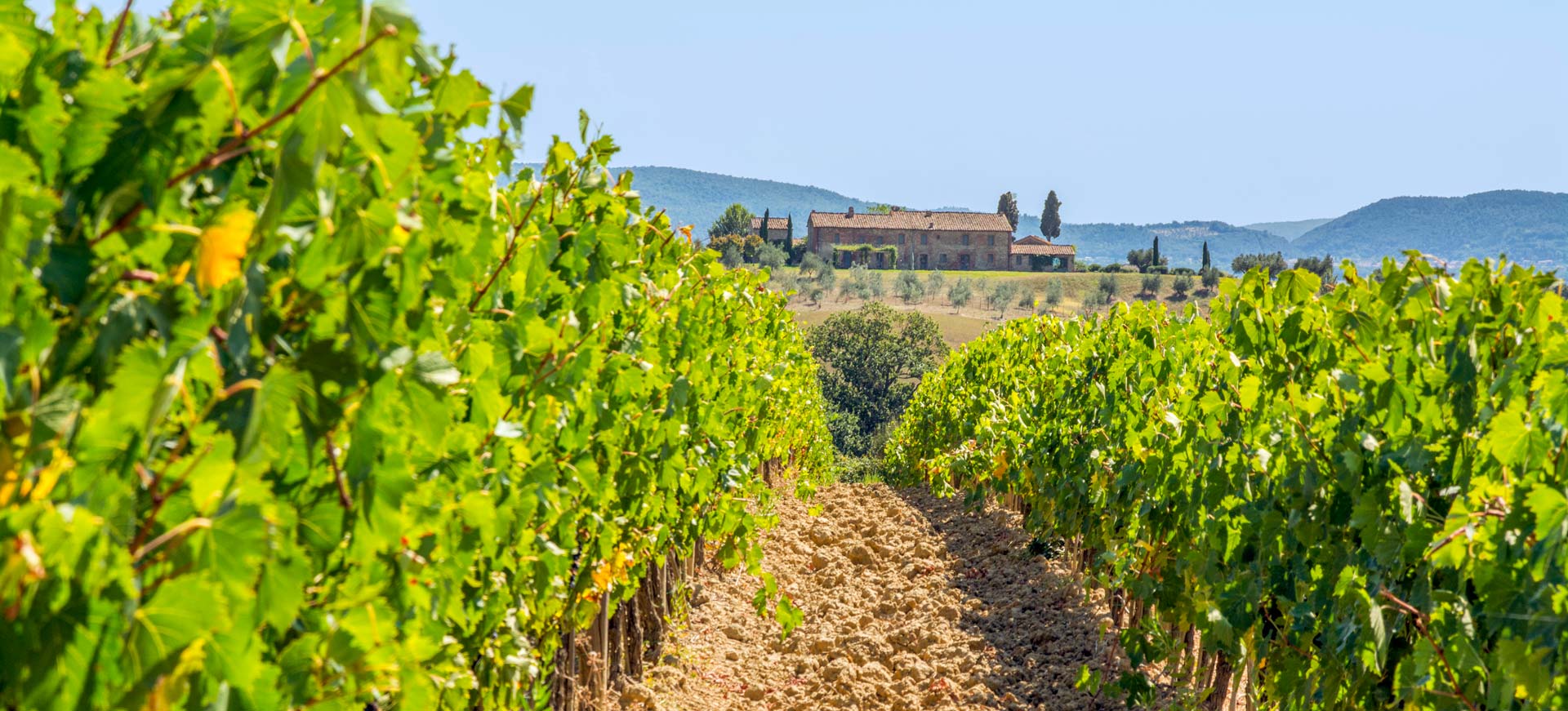 industrial photography siena