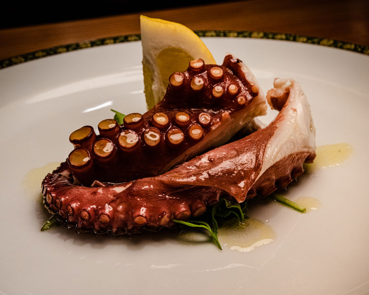 polipo vecchio saracino agropoli